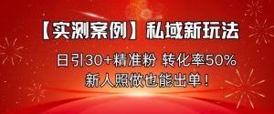 【实测案例】私域新玩法，日引30+精准粉，转化率50%，新人照做也能出单！-一起网赚吧