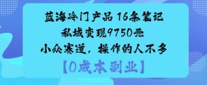 蓝海冷门产品：16条笔记私域变现9750米小众赛道，操作的人不多-一起网赚吧