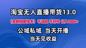 淘宝无人直播13.0，公域私域技术，不封号，不违规布局下半年旺季赛道，日入1K+（独家技术）【揭秘】-一起网赚吧