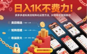 日入1K不费力！拼多多虚拟类目矩阵化运营方法，长效稳定变现路径-一起网赚吧