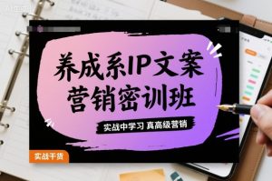 养成系IP文案营销密训班,实战中学习真高级营销-一起网赚吧