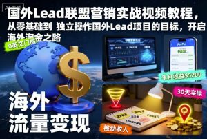 国外Lead联盟营销实战视频教程,从零基础到独立操作国外Lead项目的目标,开启海外淘金之路-一起网赚吧