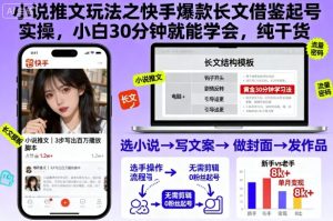 小说推文玩法之快手爆款长文借鉴起号实操，小白30分钟就能学会，纯干货-一起网赚吧