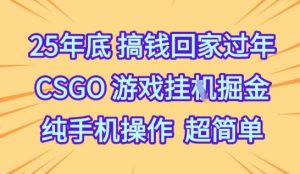 25年底搞钱回家过年,CSGO游戏挂G掘金,纯手机操作超简单【揭秘】-一起网赚吧