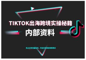 TikTok跨境电商0-1搭建运营，TK出海跨境实操秘籍（10月更新）-一起网赚吧