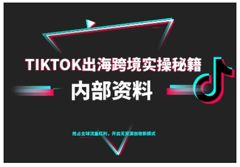 TikTok跨境电商0-1搭建运营，TK出海跨境实操秘籍（10月更新）-一起网赚吧