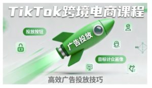 TikTok跨境电商全流程实操课,助力从业者掌握TikTok跨境电商运营核心技能,高效开展业务-一起网赚吧