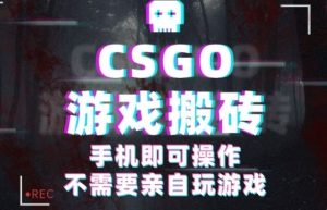 CSGO游戏挂G捡漏，单日扫货5张+，年底小高峰上车可吃肉，手机即可操作，兼职副业创业网创【揭秘】-一起网赚吧