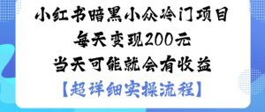 小红书暗黑小众冷门项目每天变现2张当天可能就会有收益-一起网赚吧