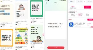 毕业生求职项目拆解_脉脉拉新空白市场，蓝海开局-一起网赚吧