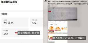 游戏加速器项目4.0_最新打法思路（爱玩游戏也能边玩边被动收益）-一起网赚吧