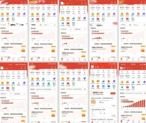 拼多多虚拟电商,门槛低,搬运上架,操作起来简单粗暴,单人单店三位数,可矩阵-一起网赚吧