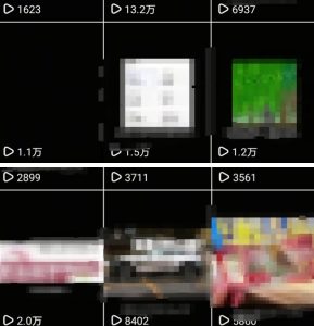 抖音引流创业粉教程，创业粉终于跑通了，私域是永远的王-一起网赚吧