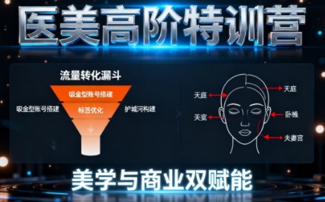 0-1000W医美高阶特训营课程，美学与商业双赋能-一起网赚吧