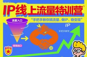 IP线上流量特训营,手把手教你搞流量、做IP、稳变现-一起网赚吧
