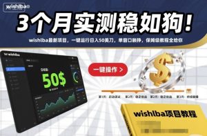 3个月实测稳如狗!wishlba最新项目,一键运行日入50美刀,单窗口躺挣,保姆级教程全给你【揭秘】-一起网赚吧