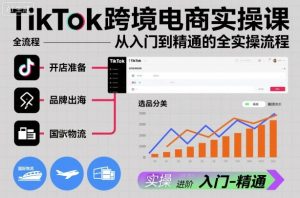 TikTok跨境电商实操课，从入门到精通的全实操流程-一起网赚吧