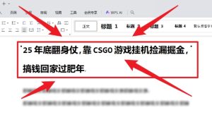 25年底翻身仗，靠CSGO游戏挂G捡漏掘金，搞钱回家过肥年【揭秘】-一起网赚吧