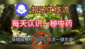 Coze扣子工作流一键生成每天认识一种中药短视频,保姆级搭建教学-一起网赚吧