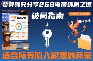 贾真师兄分享268电商破局之道-适合所有陷入泥潭的商家-一起网赚吧