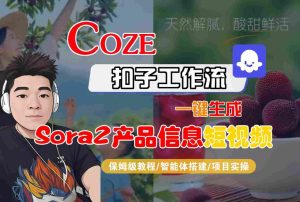 Coze扣子智能体工作流一键生成“SORA2产品信息“短视频,全流程保姆级教学-一起网赚吧