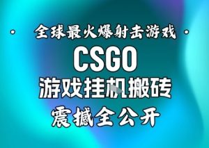 【年底大揭秘】基于全球最火爆的射击CSGO游戏挂G搬砖,日入5张+,震撼公开-一起网赚吧