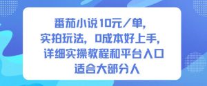 番茄小说10米每单，实拍玩法，0成本好上手，详细实操教程和平台入口适合大部分人-一起网赚吧