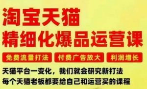 淘宝天猫精细化爆品运营课,免费流量打法-付费广告放大-利润增长-三大核心痛点,一次全部解决-一起网赚吧