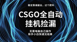 【稳定副业】全球最热门游戏CSGO全自动捡漏，最新玩法，新手小白日入5张+【揭秘】-一起网赚吧