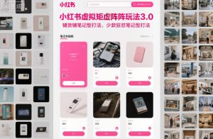 小红书虚拟矩阵玩法3.0，铺货铺笔记型打法，少款狂怼笔记型打法-一起网赚吧