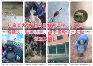 抖音某大V万物科普解说课程，可进抖音精选，独家内容，超干货教学，助你涨粉又賺钱-一起网赚吧