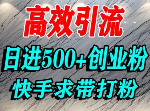 怎么打创业粉？快手求带视角精准引流创业粉，宝妈、学生群体日进500+精准流量-一起网赚吧
