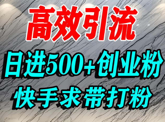 怎么打创业粉？快手求带视角精准引流创业粉，宝妈、学生群体日进500+精准流量-一起网赚吧