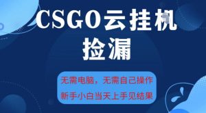 CSGO云挂G全自动捡漏,最新独家玩法,无需电脑操作,新手小白日入5张+【揭秘】-一起网赚吧