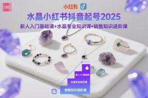 水晶小红书抖音起号2025，新人入门基础课+水晶专业知识课+销售知识进阶课-一起网赚吧