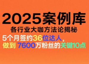 2025案例库,收录各行业大咖的方法论,各行业大咖方法论揭秘-一起网赚吧