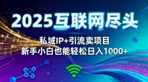 2025网创尽头王炸项目！私域IP+精准引流，新手小白在家躺賺日入1k，零经验也能上手【揭秘】-一起网赚吧