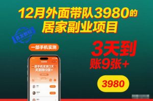 12月外面带队3980的居家副业项目，一部手机实测3天到账9张+，首发教程【揭秘】-一起网赚吧