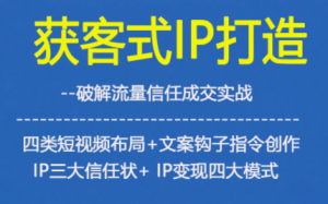 获客型IP打造,破解流量信任成,四类短视频布局+文案钩子指令创作IP三大信任状+IP变现四大模式-一起网赚吧