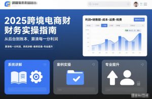 2025跨境电商财务实操指南，从后台到账本，算清每一分利润，系统讲解-案例实操-专业提升-一起网赚吧