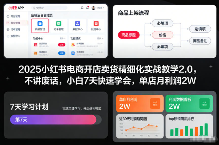 2025小红书电商开店卖货精细化实战教学2.0，不讲废话，小白7天快速学会，单店月利润2W-一起网赚吧