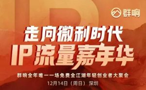 2025ip嘉年华万人12月14深圳线下课,走向微利时代,IP流量嘉年华,实操性极强的商业干货课-一起网赚吧