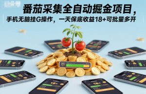 番茄采集全自动掘金项目，手机无脑挂G操作，一天保底收益18+可批量多开【揭秘】-一起网赚吧