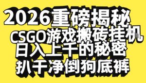 2026开年重磅解密，CSGO游戏搬砖挂G日入1k+的秘密，把倒狗的底裤扒干【揭秘】-一起网赚吧