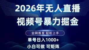 2026最新视频号无人直播掘金，全网首发，小白可以玩，长期稳定日入1k+【揭秘】-一起网赚吧