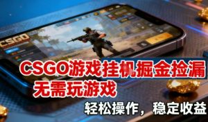 CSGO游戏挂G掘金捡漏，不需要玩游戏，操作简单，收益稳定【揭秘】-一起网赚吧