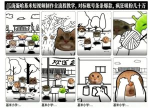 卤蛋哈基米短视频制作全流程教学，条条爆款，疯狂吸粉几十万-一起网赚吧