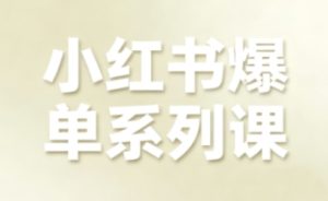 小红书爆单系列课,聚焦小红书电商全链路增长(更新)-一起网赚吧