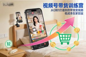 视频号带货训练营，从0到1打造你的带货变现路，低成本在家创业-一起网赚吧
