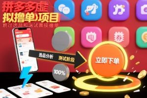 拼多多虚拟撸单项目,跳过选品和测试直接撸单-一起网赚吧